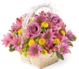 Nature's Bounty Basket